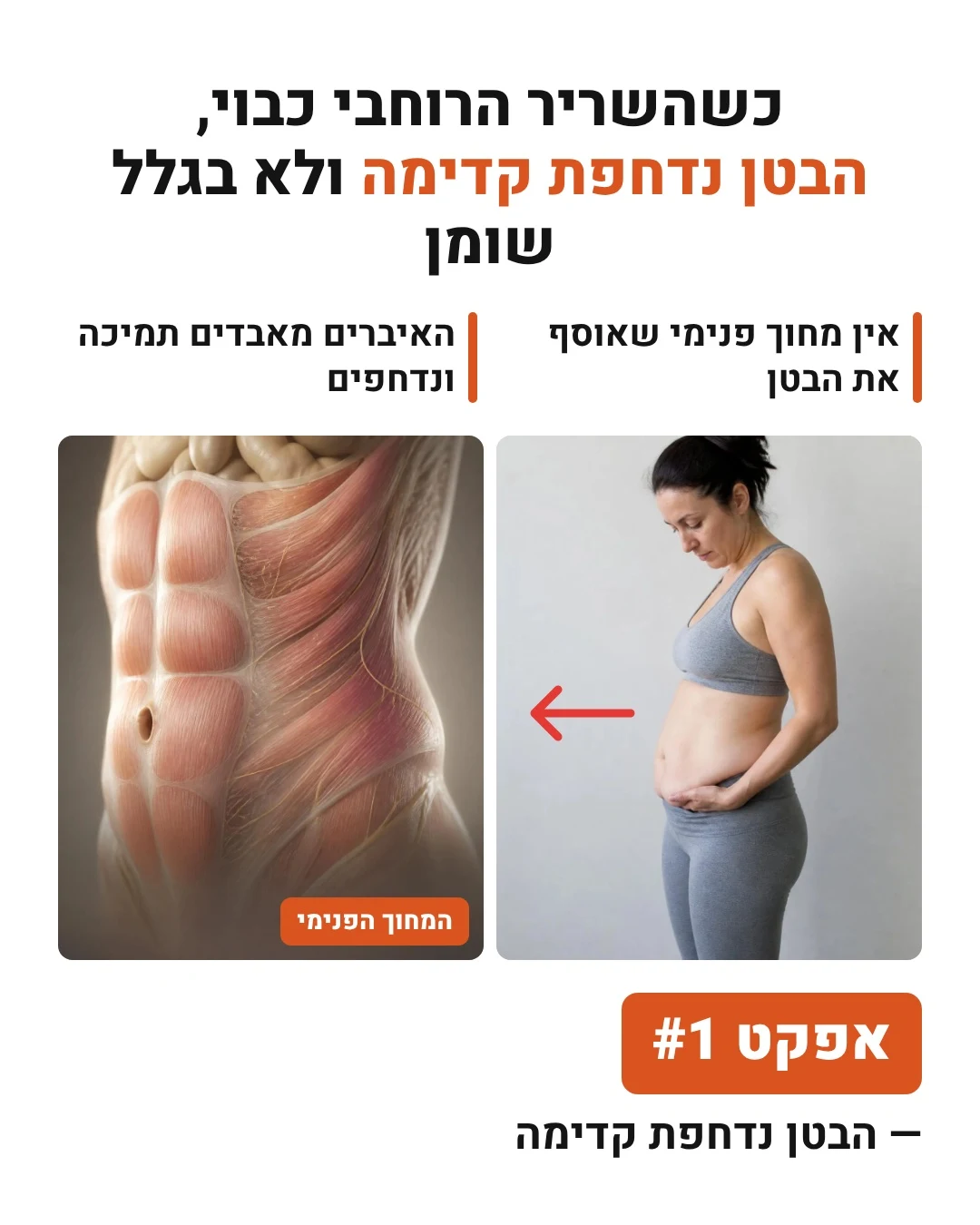 כשהשריר הרוחבי כבוי הבטן נדחפת קדימה ולא בגלל שומן